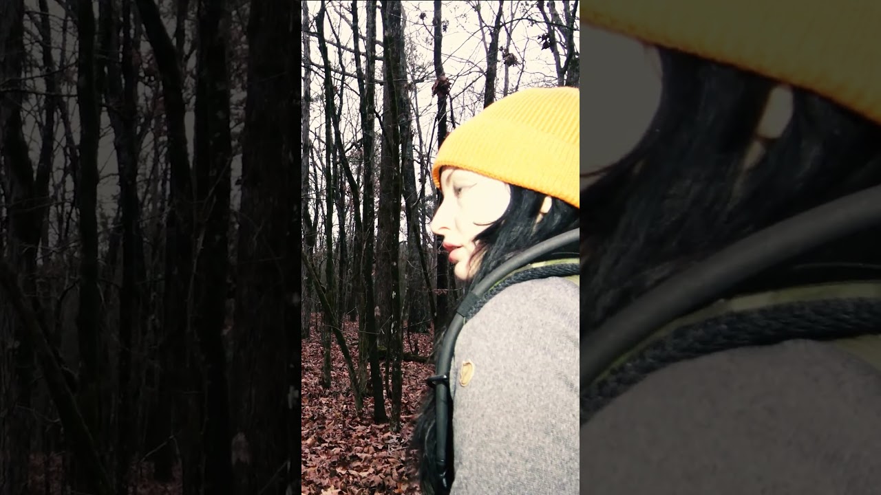 Shocking bigfoot audio recorded in our latest field investigation documentary!  