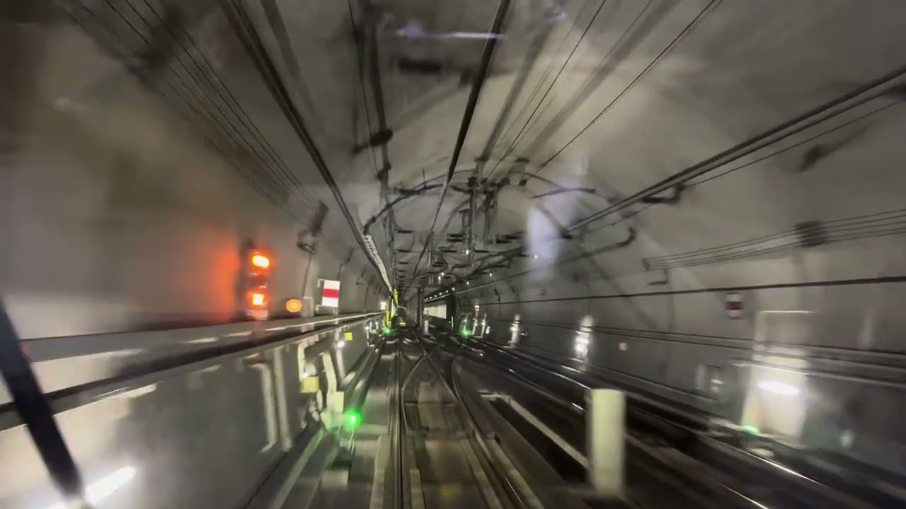 The Shin Bundang Line 