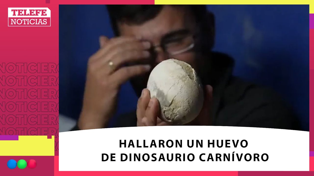 Hallaron un HUEVO DE DINOSAURIO carnívoro en una expedición científica del CONICET