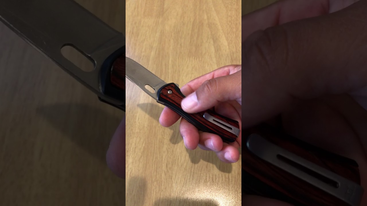 Buck 341 Vantage Avid