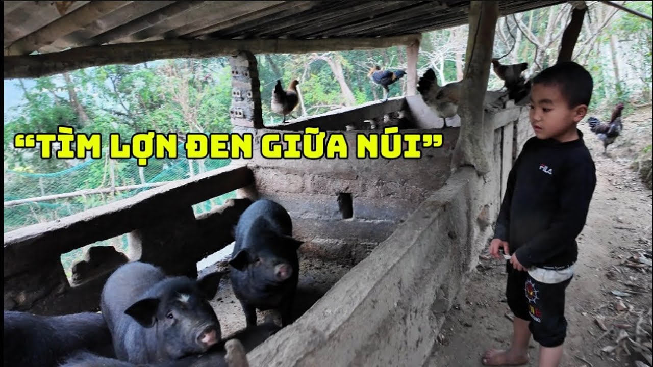 Vượt Núi Vào Bản Xa Tìm Lợn Đen | Cung Đường Gian Nan Nhất (Tập 2)