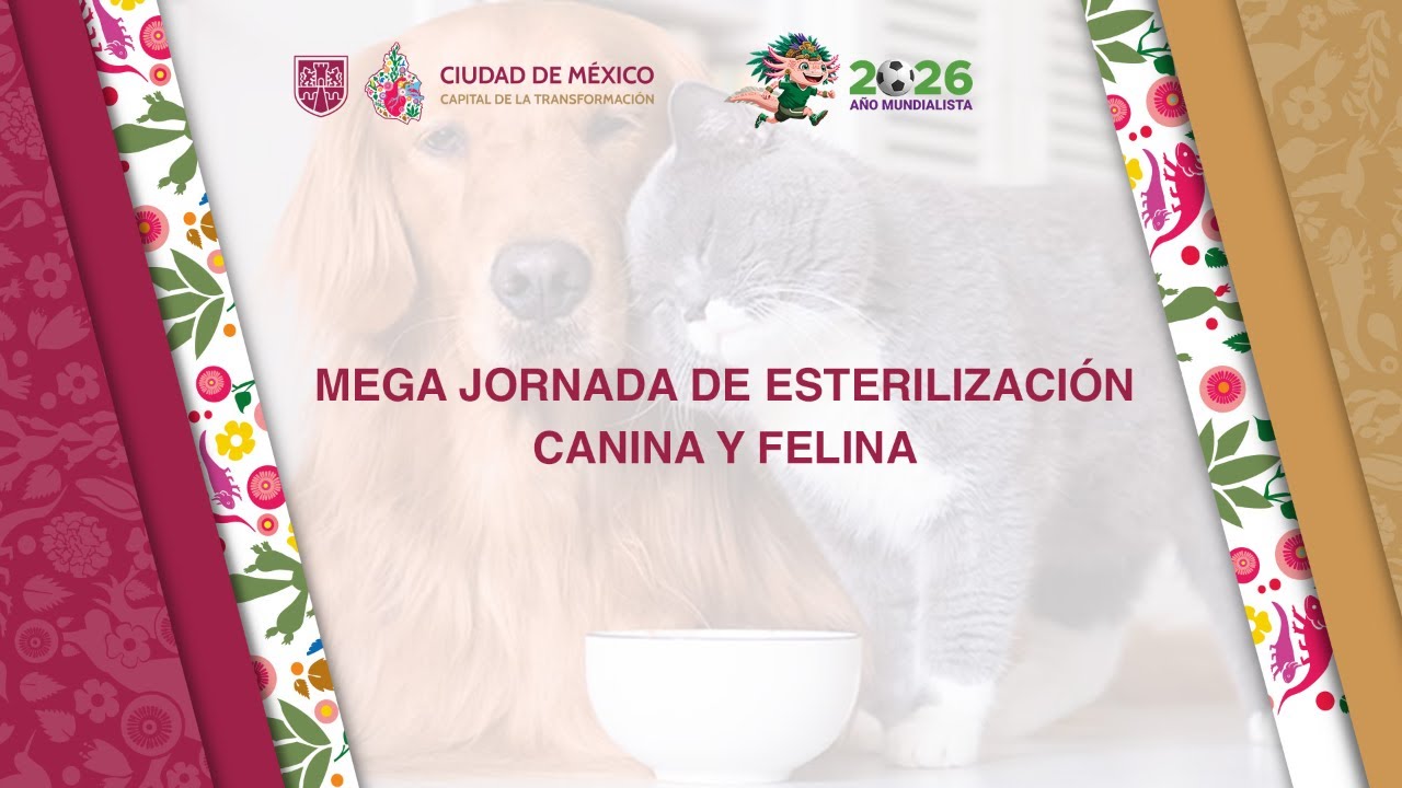 Mega Jornada de Esterilización Canina y Felina