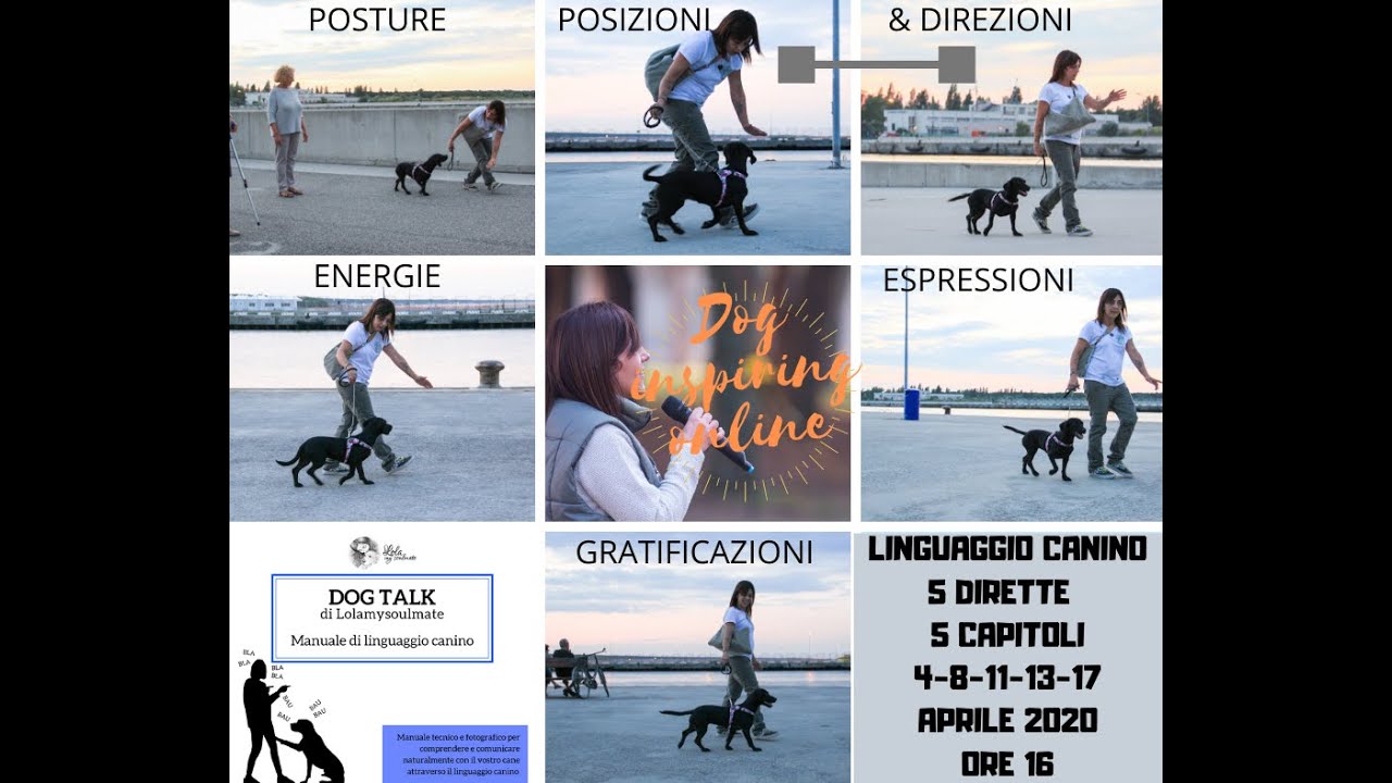 Linguaggio canino, capitolo 1 posture
