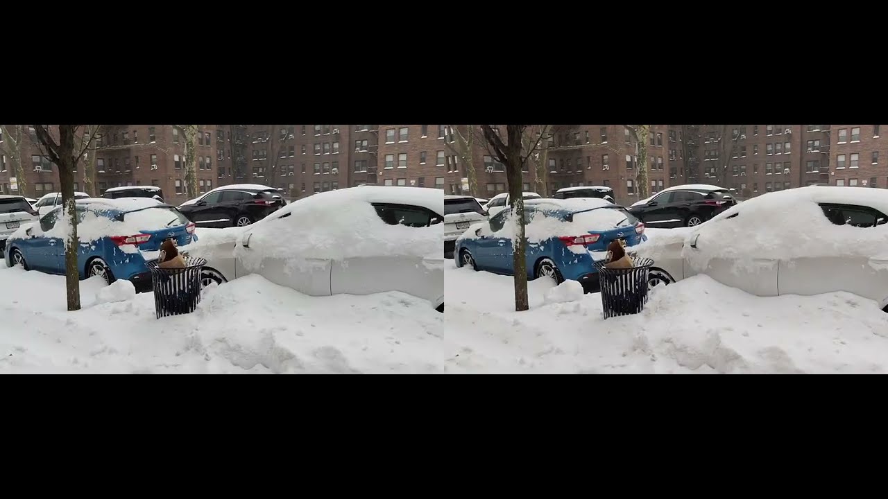 3D  Snow in Queens NYC 1/25/26 3D Full SBS