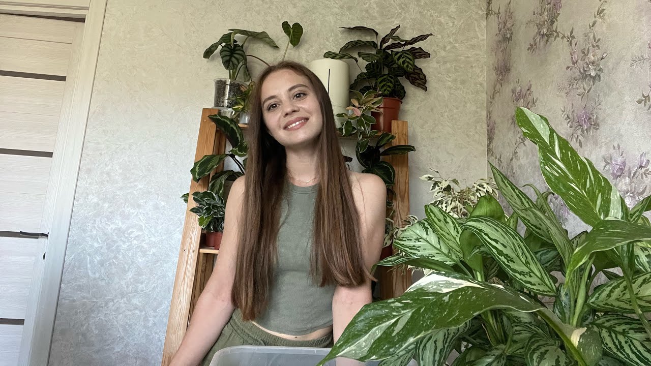 Мох сфагнум- 100% результат укоренения черенков 🌱