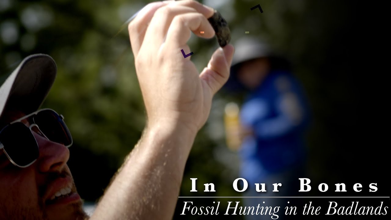 Digging dinosaur fossils in the Badlands of Wyoming