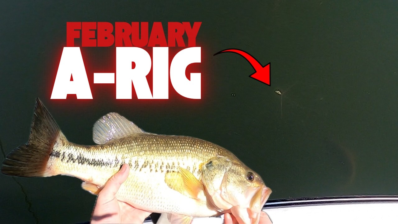 February A-RIG (Smith Mountain Lake)