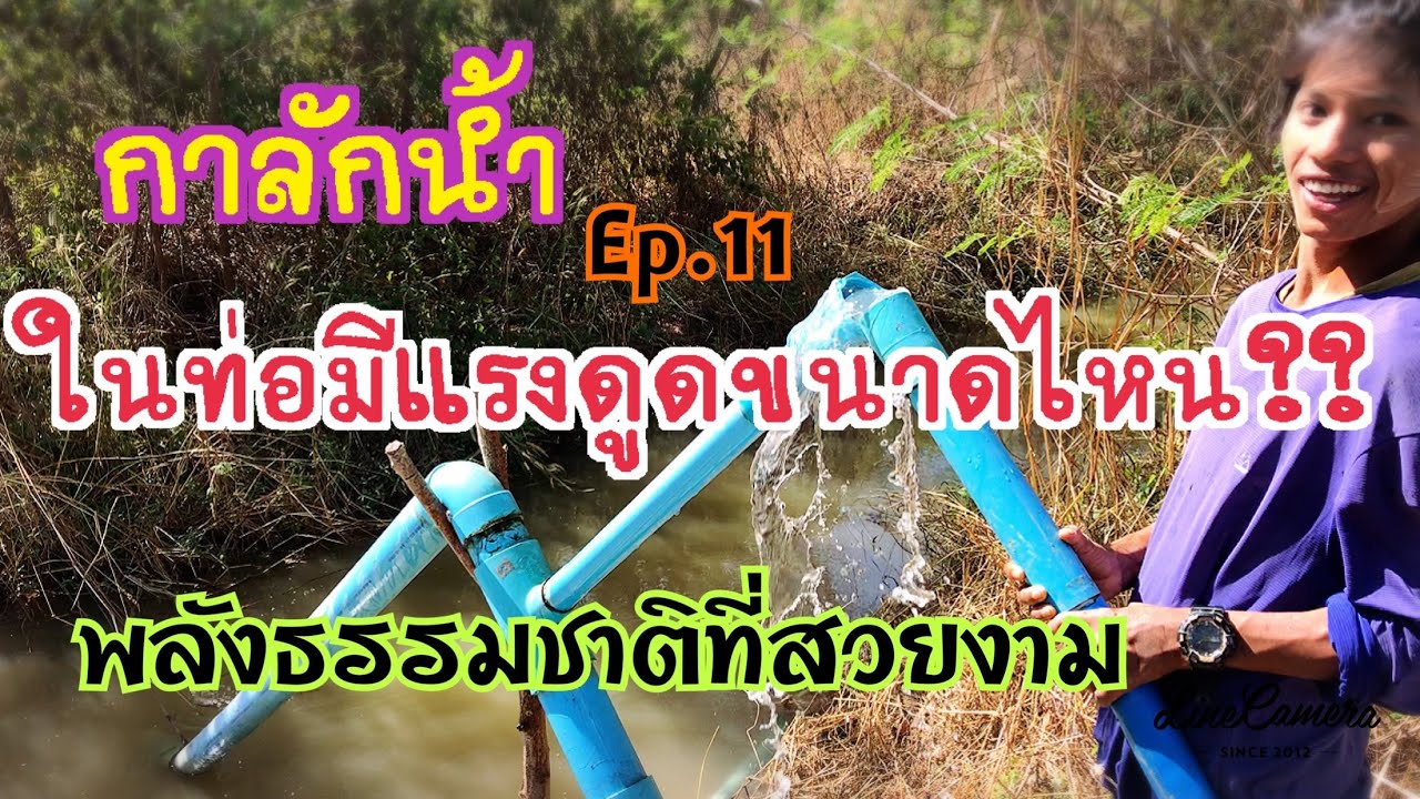 กาลักน้ำ พลังแรงดูดของธรรมชาติที่สวยงาม มัจฉาจอมป่วน Maesot ทดสอบให้ชม Ep.11