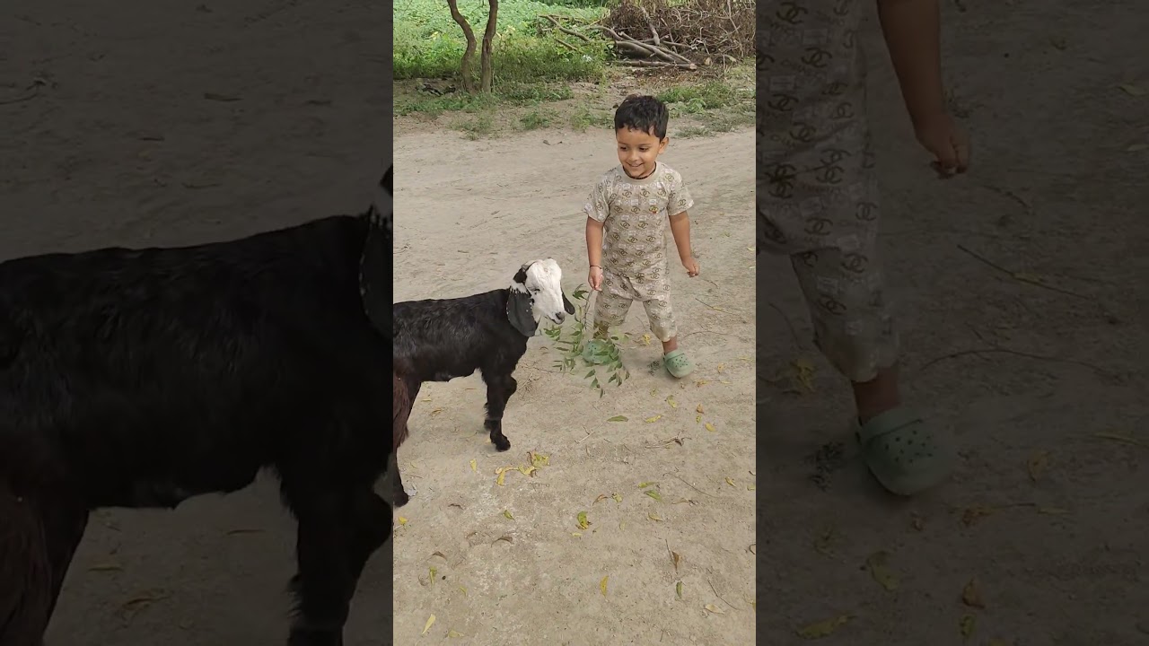Goun me Masti #song #love #live #udja #viral #vasu #cutebaby