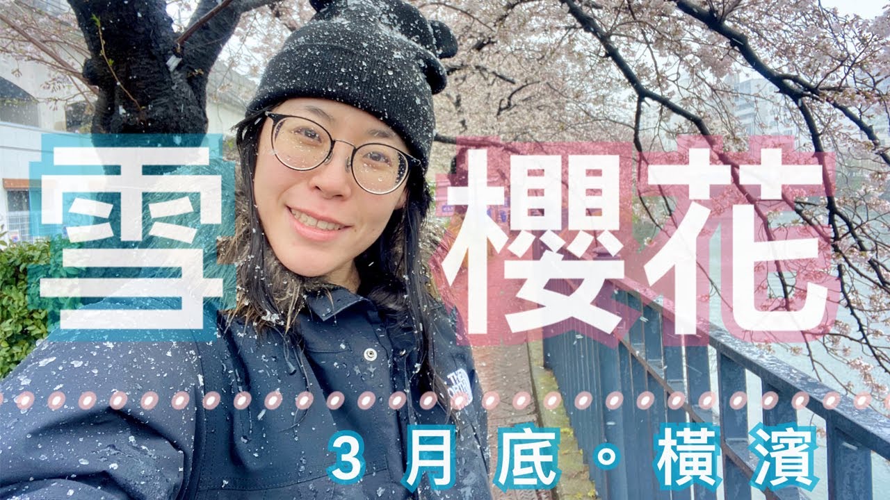 【橫濱散步】3月底在日本賞櫻又賞雪！？真正的櫻吹雪出現了。女子熊 vlog (CC中文字幕)