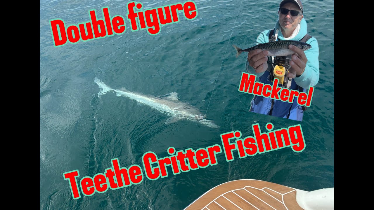 Boat Fishing for Tope in the UK – Big Bites & Fast Runs!