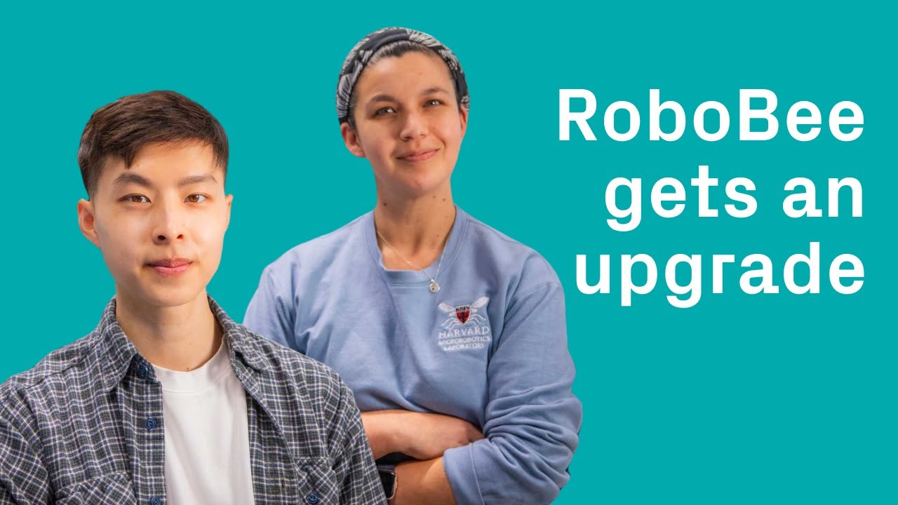 RoboBee's Graceful Landing Gear Inspired By Crane Flies