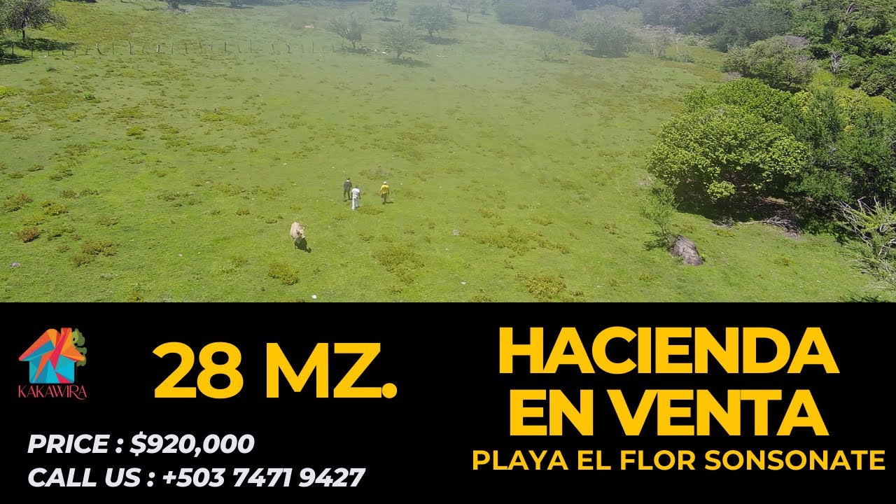 K#11 - SE VENDE - HACIENDA GANADERA - CASA PARA RESTAURANTE - 28 MZ. - PLAYA EL FLOR - SONSONATE