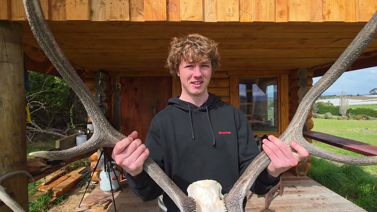 This Week on the Farm in Ruby Bay - New Zealand