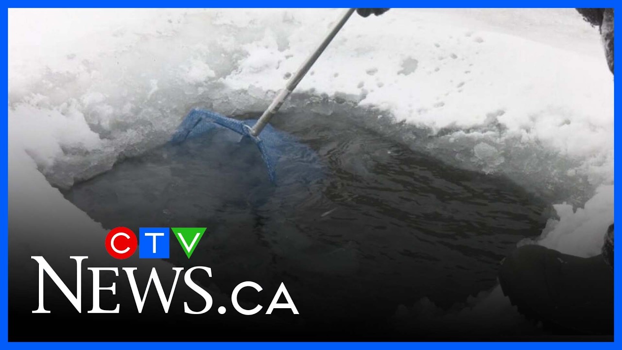 Barrie’s fishing industry reels in record growth as market soars