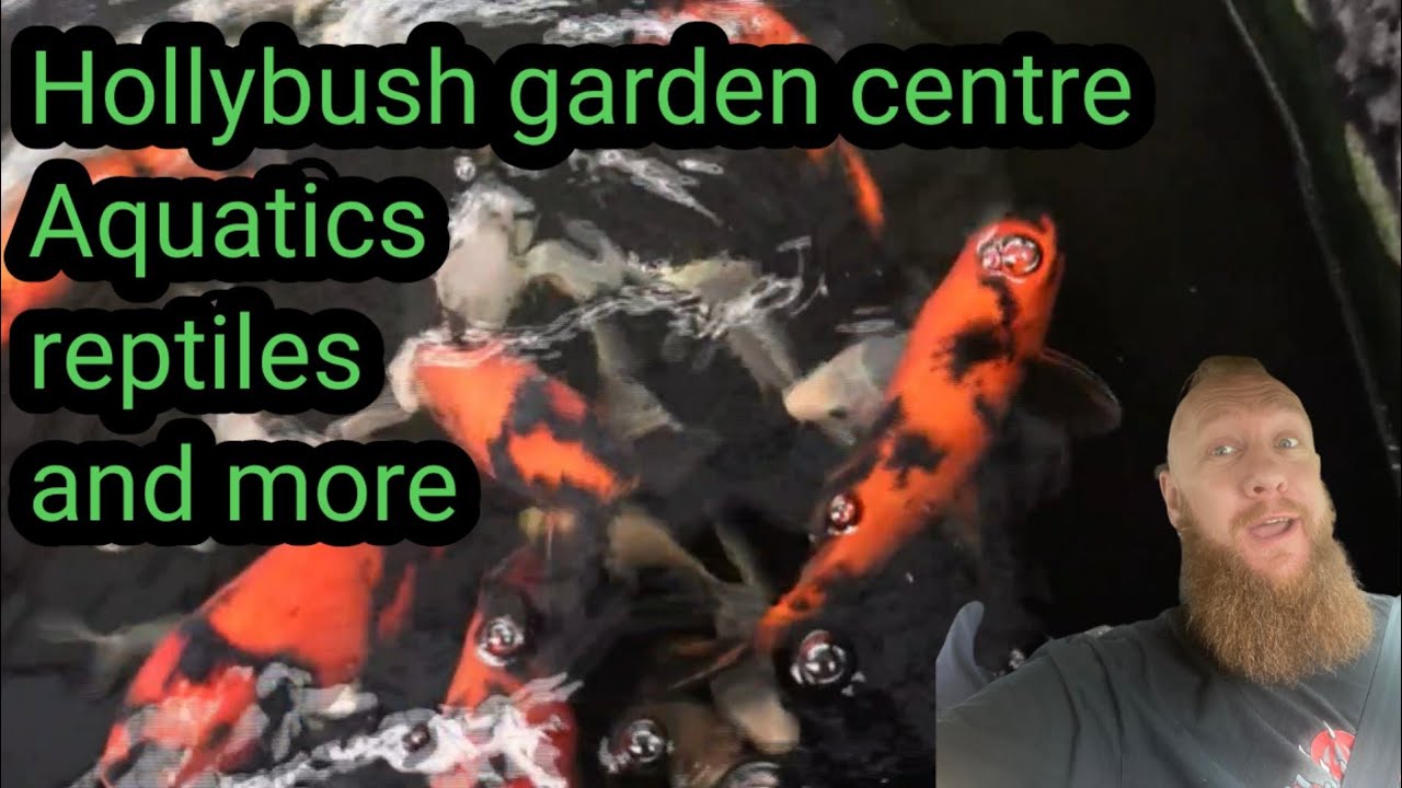 Hollybush garden centre and aquatic Park. one of the UK's largest aquatic centres