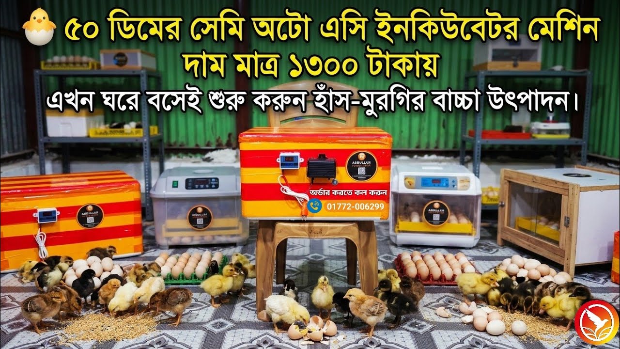 দাম মাত্র ১৩০০ টাকায় হাঁস মুরগির ডিম ফোটানোর ইনকিউবেটর মেশিন কিনুন | Auto Incubator For Chicken Eggs