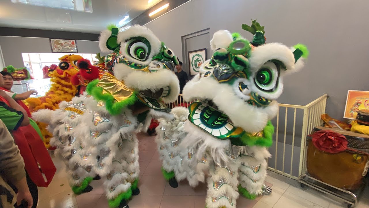 Sáng 2/2/2026 Long Nhi  & Linh Ứng Cúng Lân Rồng Mới Khai Quang Điểm Nhãn Tại Nhà 226 Trần Hưng Đạo