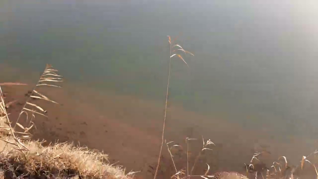 Hidden Camera Caught Something Strange by the River