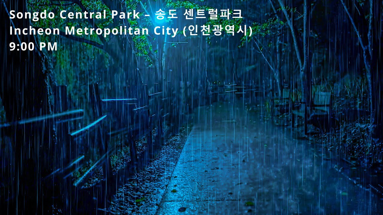 Say Goodbye to Insomnia & Tinnitus | Heavy Rain on Night Road | ASMR Rain to Sleep Deeply