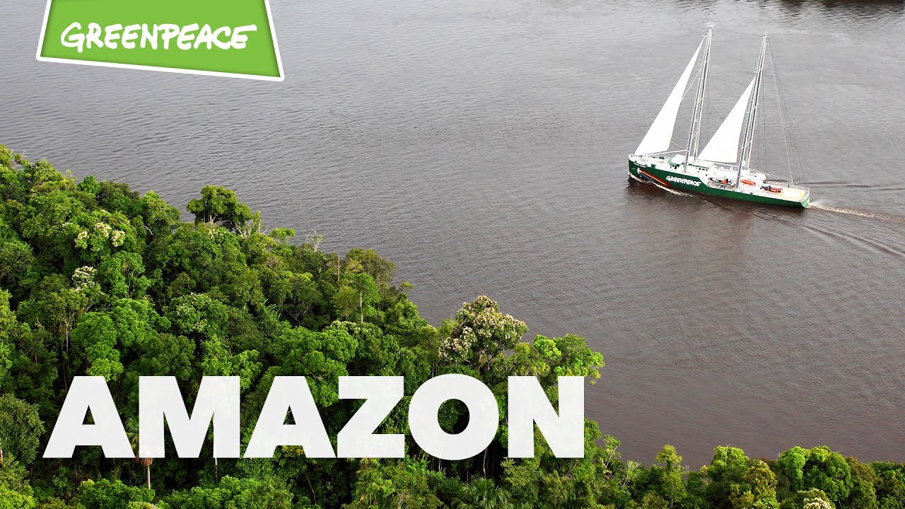 Amazon Ormanları (Gezegenimiz - 7.Bölüm)