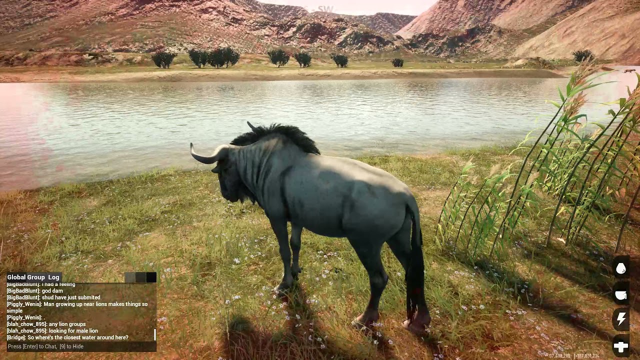 Animalia Survival