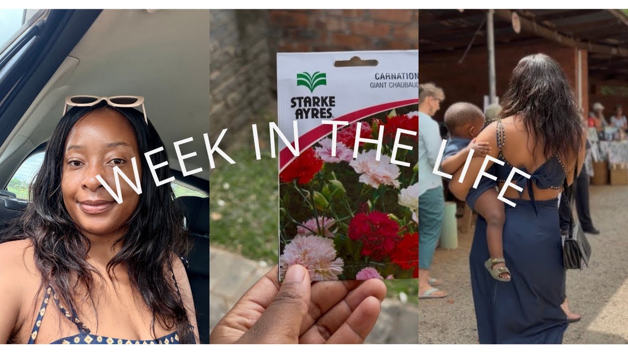 Why I closed my business | Honest life update | Life in Harare | Weekly Vlog