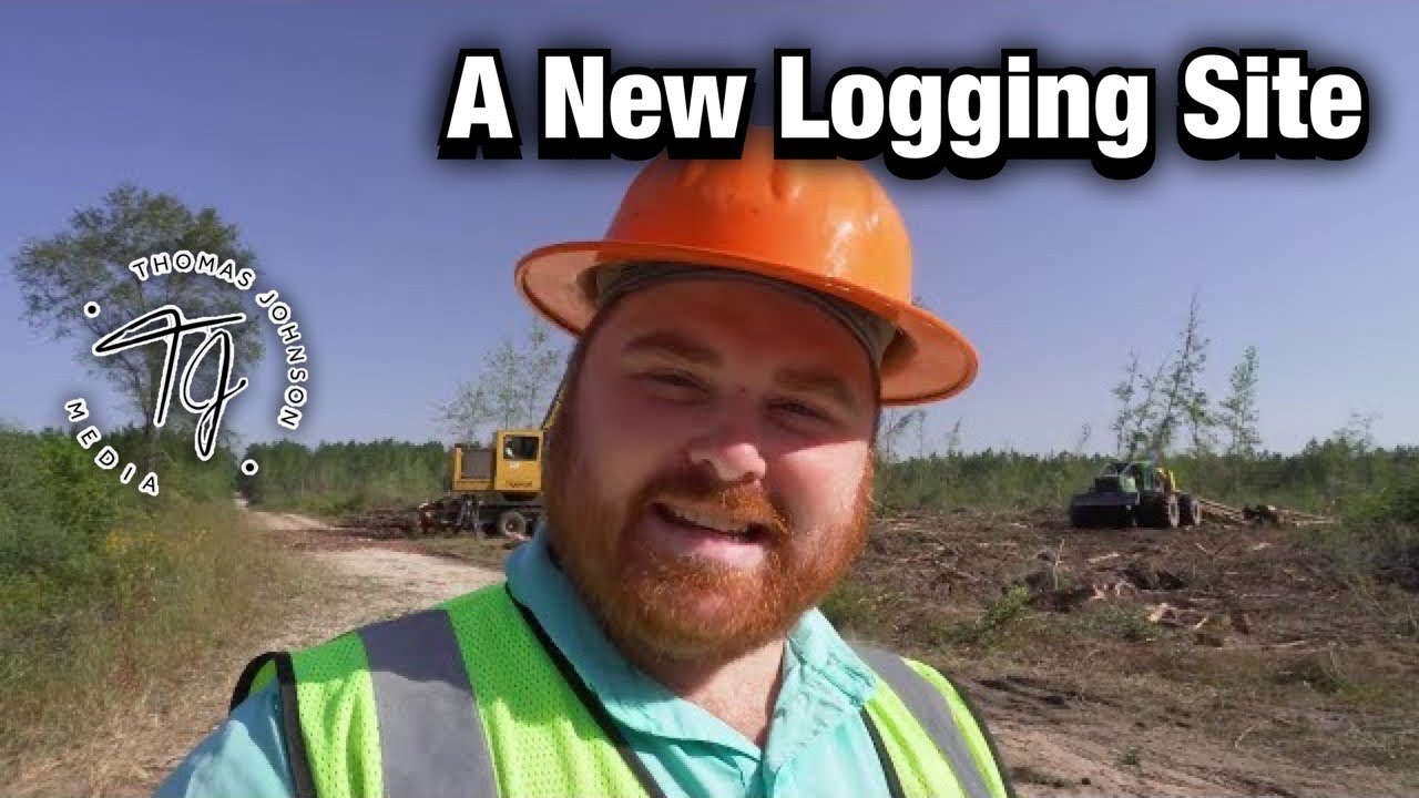 Visiting A New Logging Job With Tigercat Track Cutters & John Deere Skidders