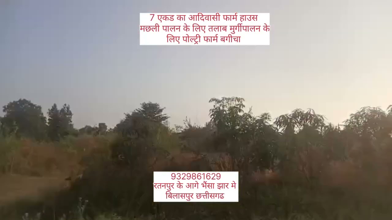 7 एकड का फार्म हाउस बिलासपुर छत्तीसगढ # रतनपुर के आगे भैंसा झार मे #plot for sale 