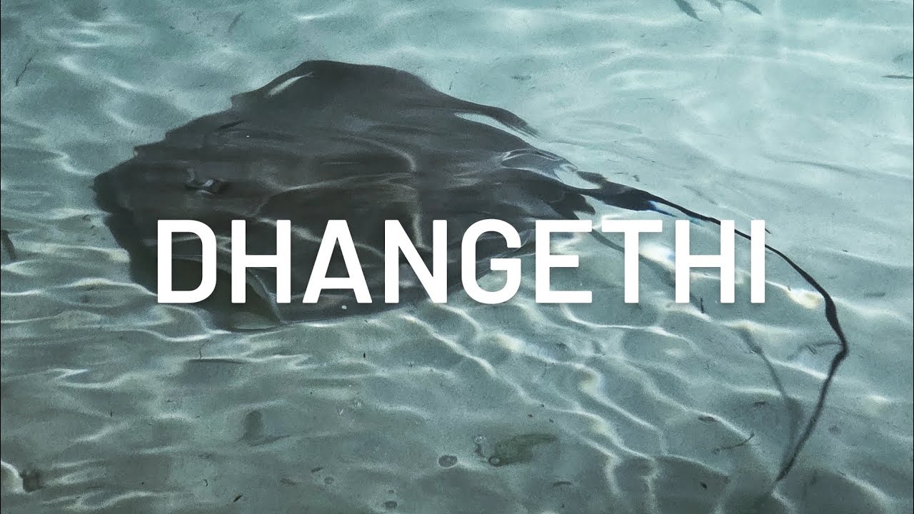DHANGETHI MALDIVES | Локальные Мальдивы, Дангети 