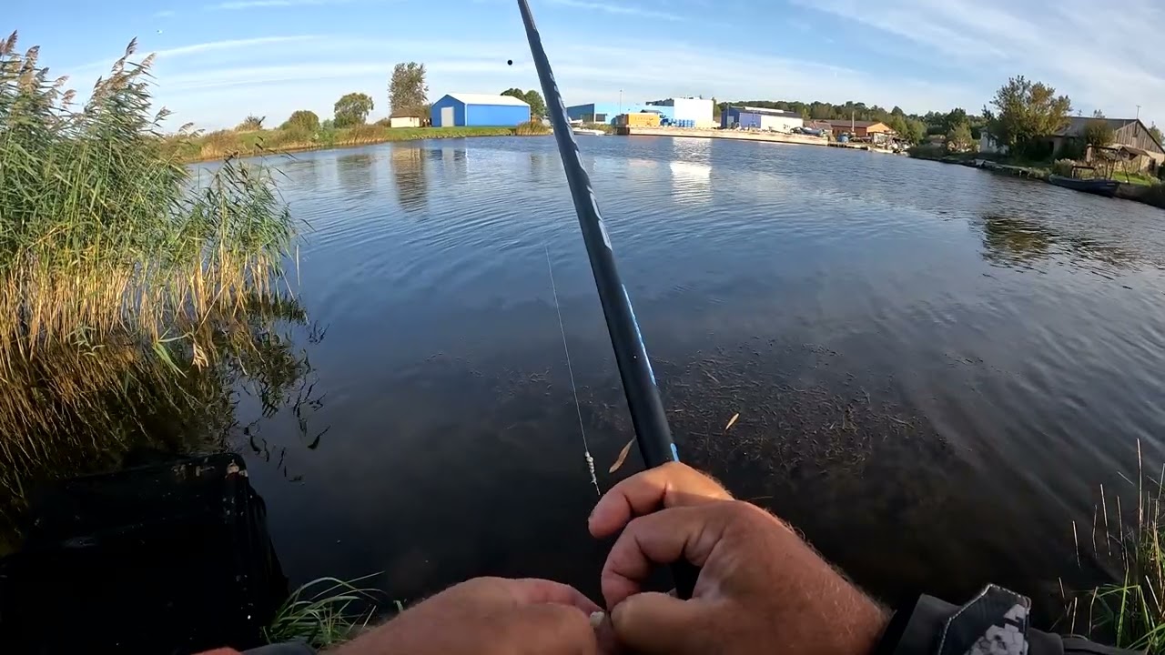 GRABIS COPĒ  atskaite Nr 4 - Prosa un grūba rullē !