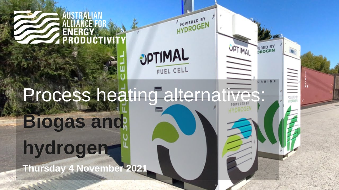 Biogas & hydrogen - Process heat alternatives presentation by Craig Dugan, CEO of Optimal Group