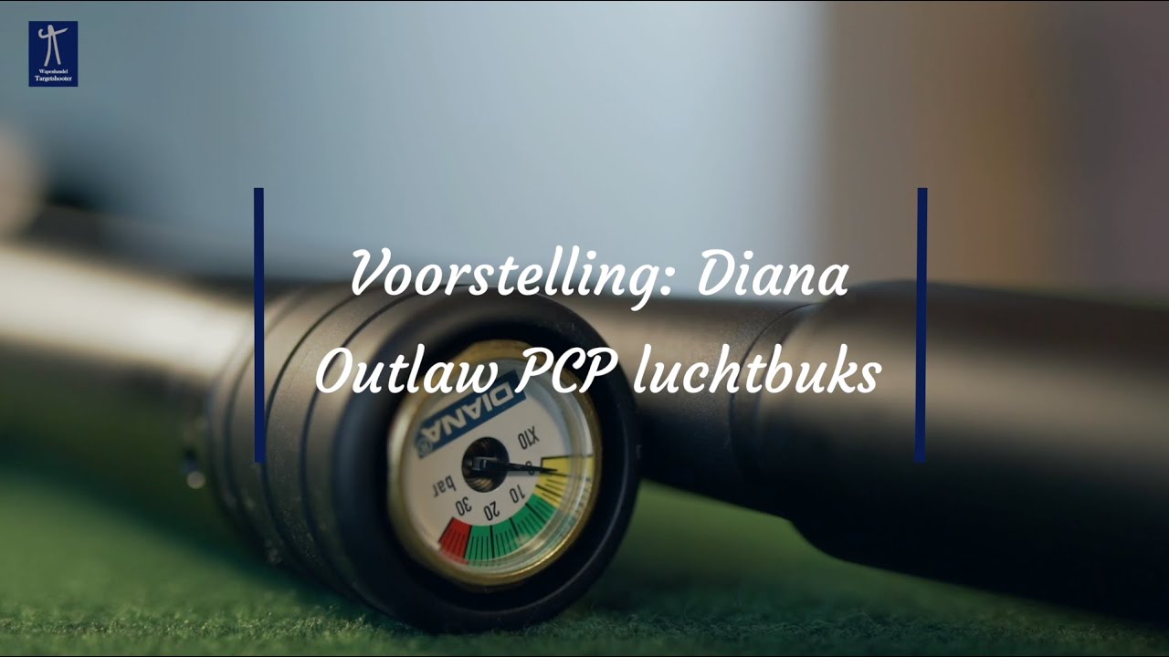 Diana Outlauw PCP Luchtbuks: Voorstelling | Targetshooter Wapenhandel