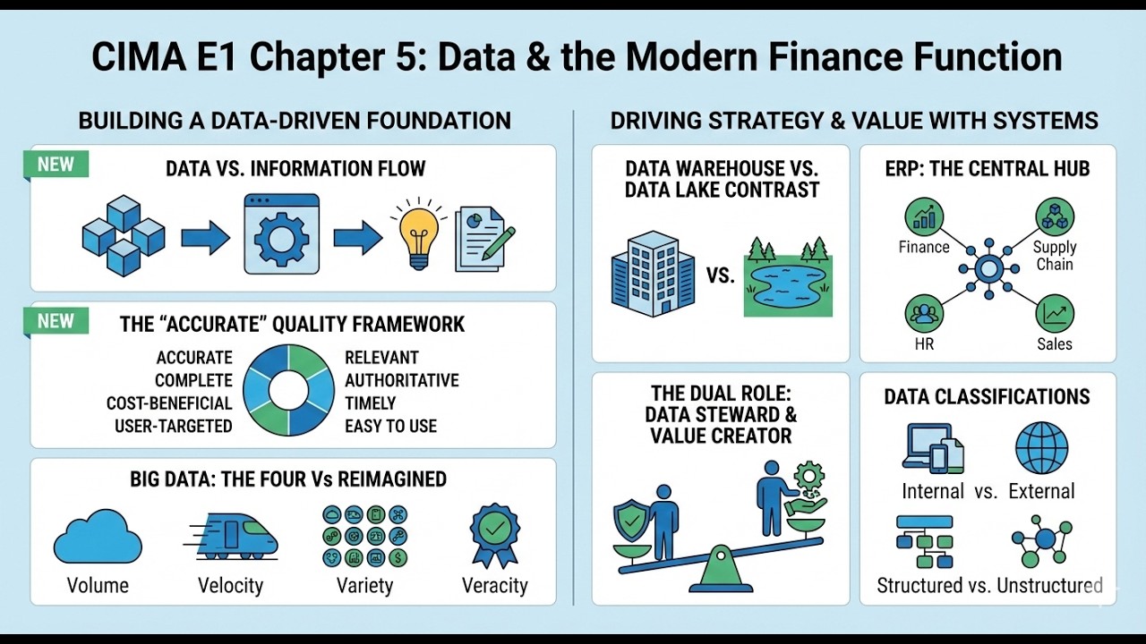 CIMA E1 Chapter 5 : Data and the Finance Function [ Deep Dive ]