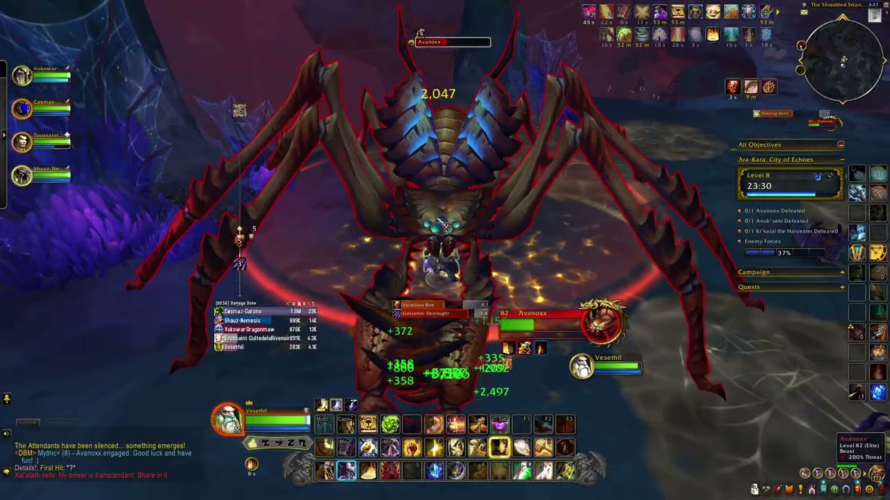Ara Kara +8 Paladin Tank gameplay