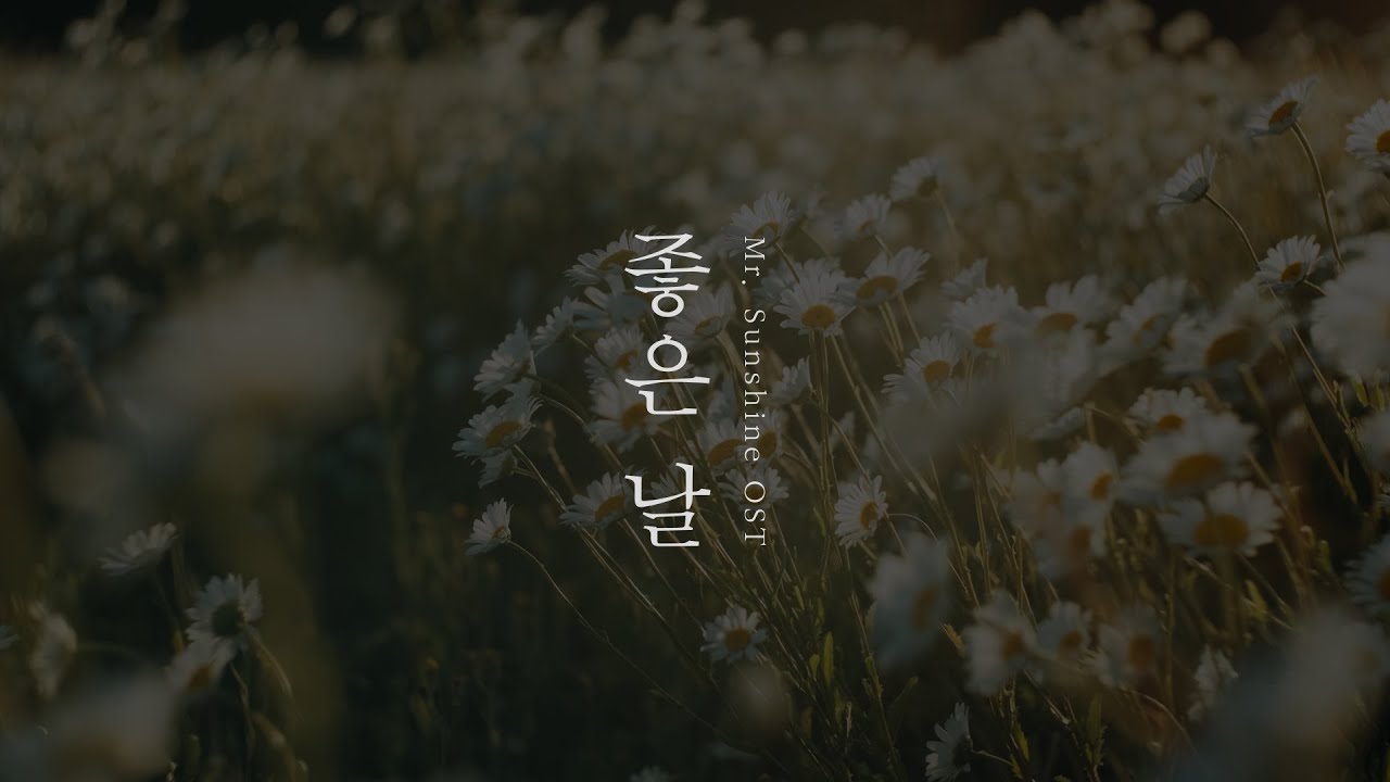 [미스터 션샤인 OST] 멜로망스 - 좋은 날 (Good Day) COVER