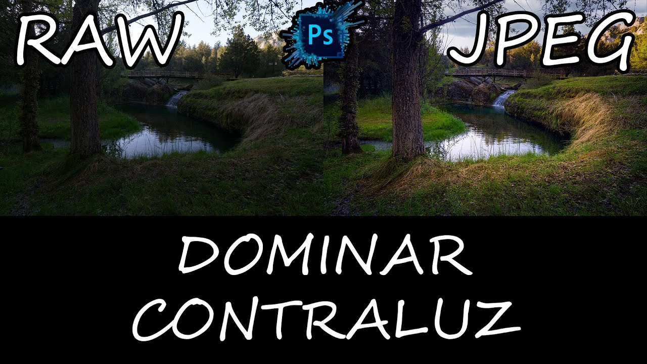 Edición Completa Contraluz Difícil Ajustes por Zonas y cambio de Cielo