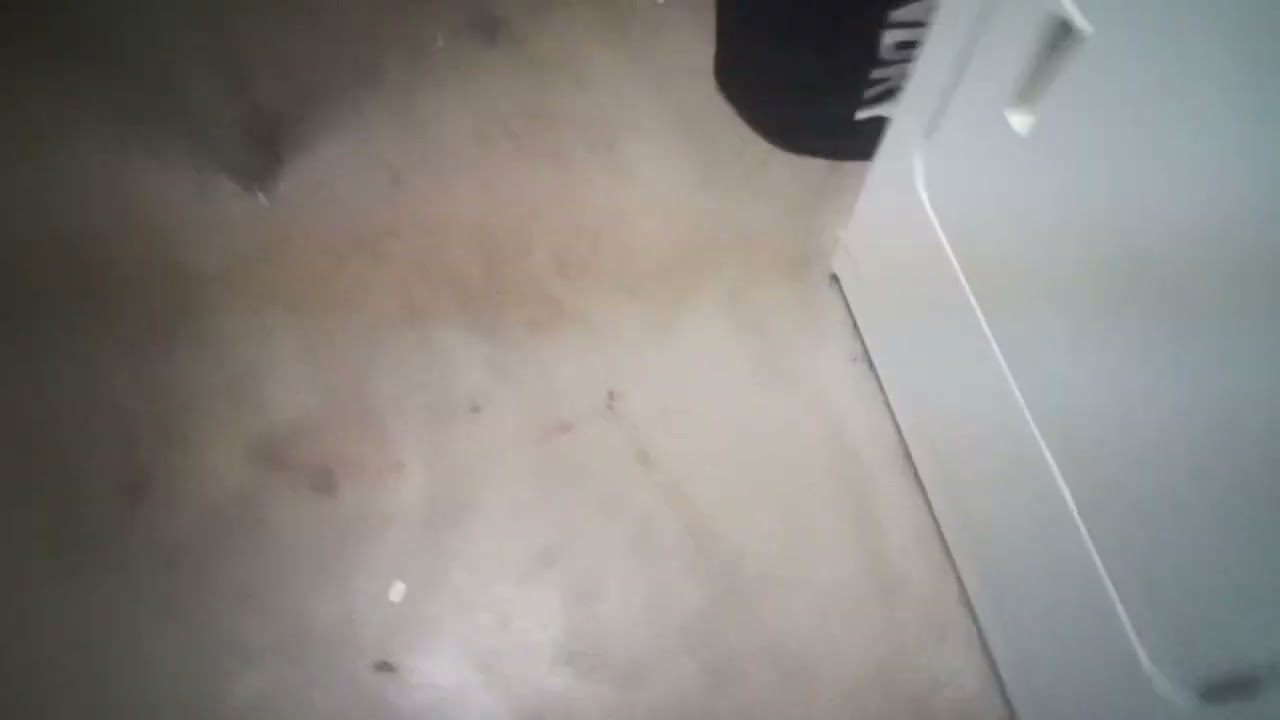 Inspecting the basement (BUT SCARY INSIDE!)