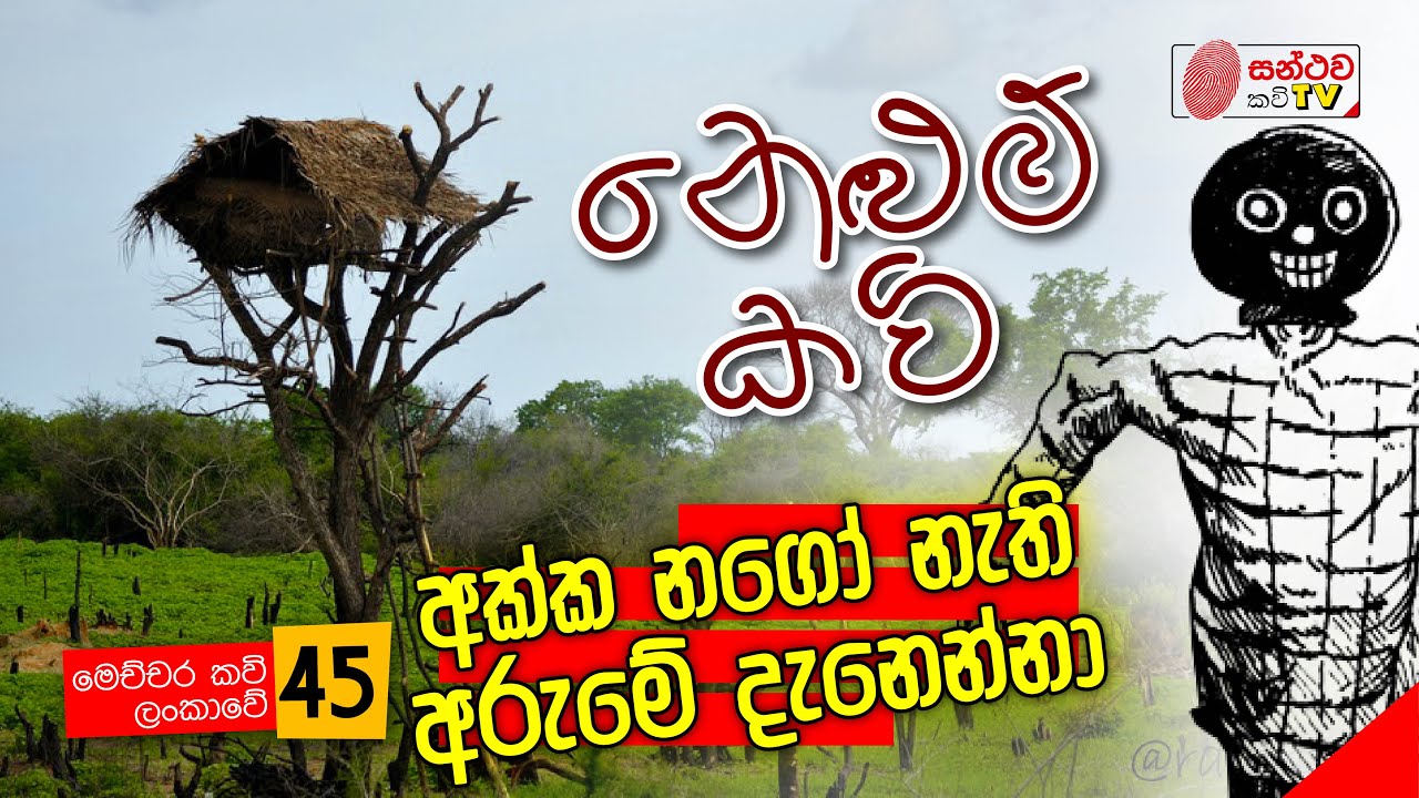 නෙළුම් කවි | Nelum Kavi | මෙච්චර කවි ලංකාවේ - 45 | Mahinda Prasad Masimbula