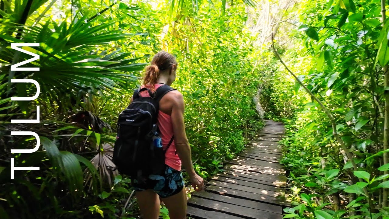 Picturesque Hike in the Heart of Tulum's Jungle