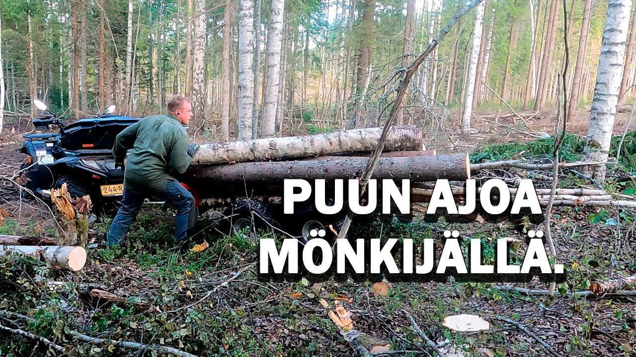 PUUN AJOA MÖNKIJÄLLÄ.