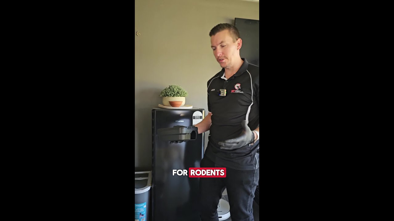 When it comes to rodent control, placement is everything.