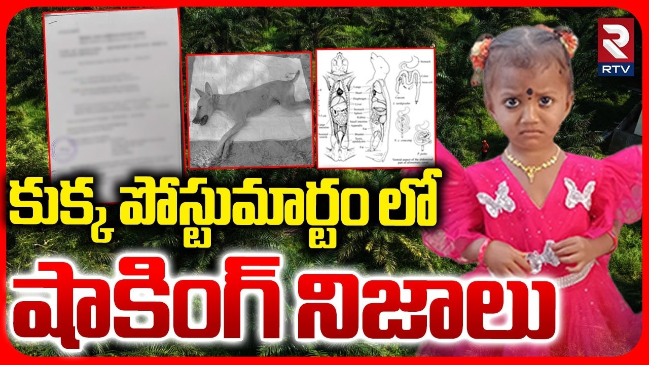 Kakinada Jahnavi Missing Case | కుక్క పోస్టుమార్టం లో షాకింగ్ నిజాలు | Dog Postmortem Report | RTV