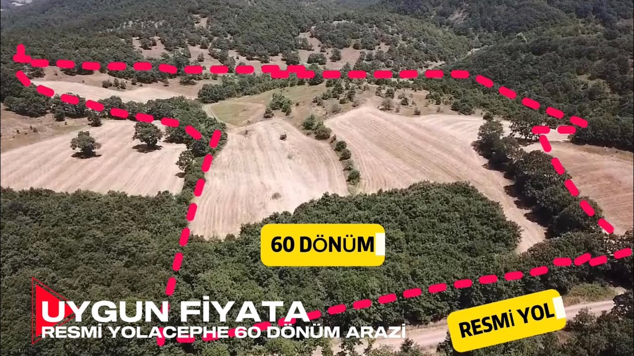 RESMİ YOLA CEPHE 60 DÖNÜM UYGUN FİYATA ARAZİ