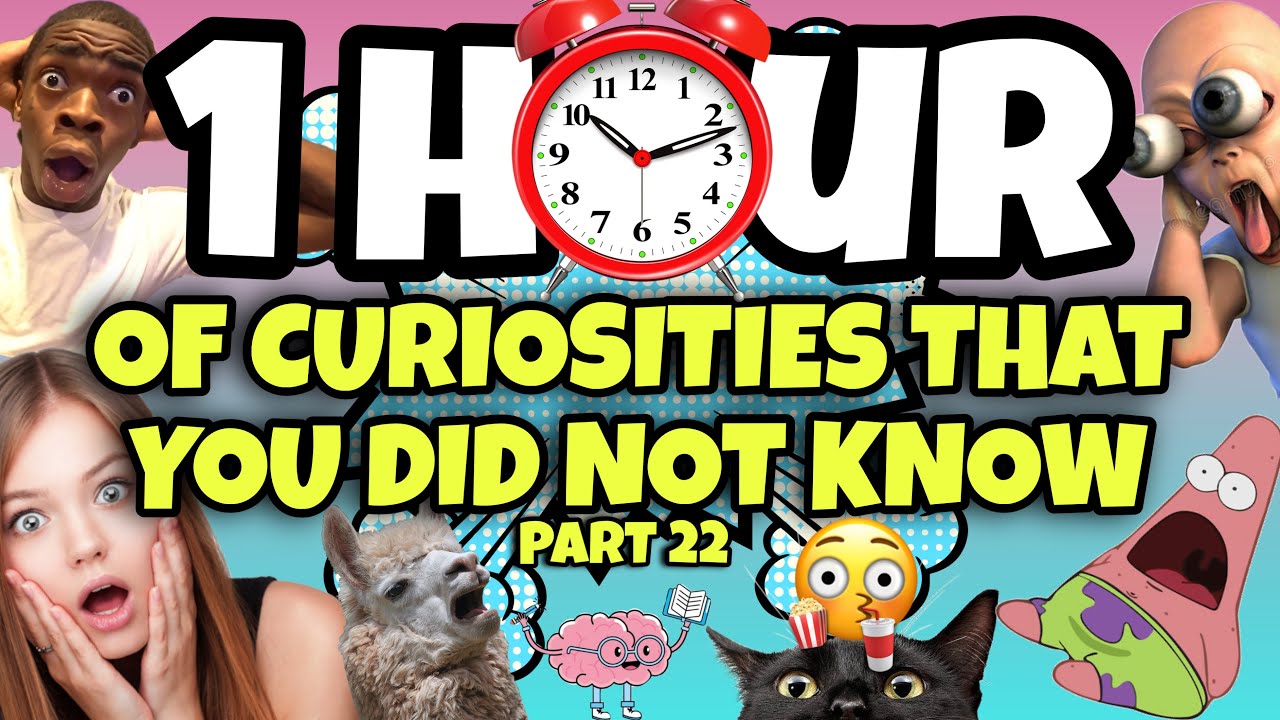 1 HOUR OF CURIOSITIES AND THINGS YOU DIDN'T KNOW 🧠⏰ #22