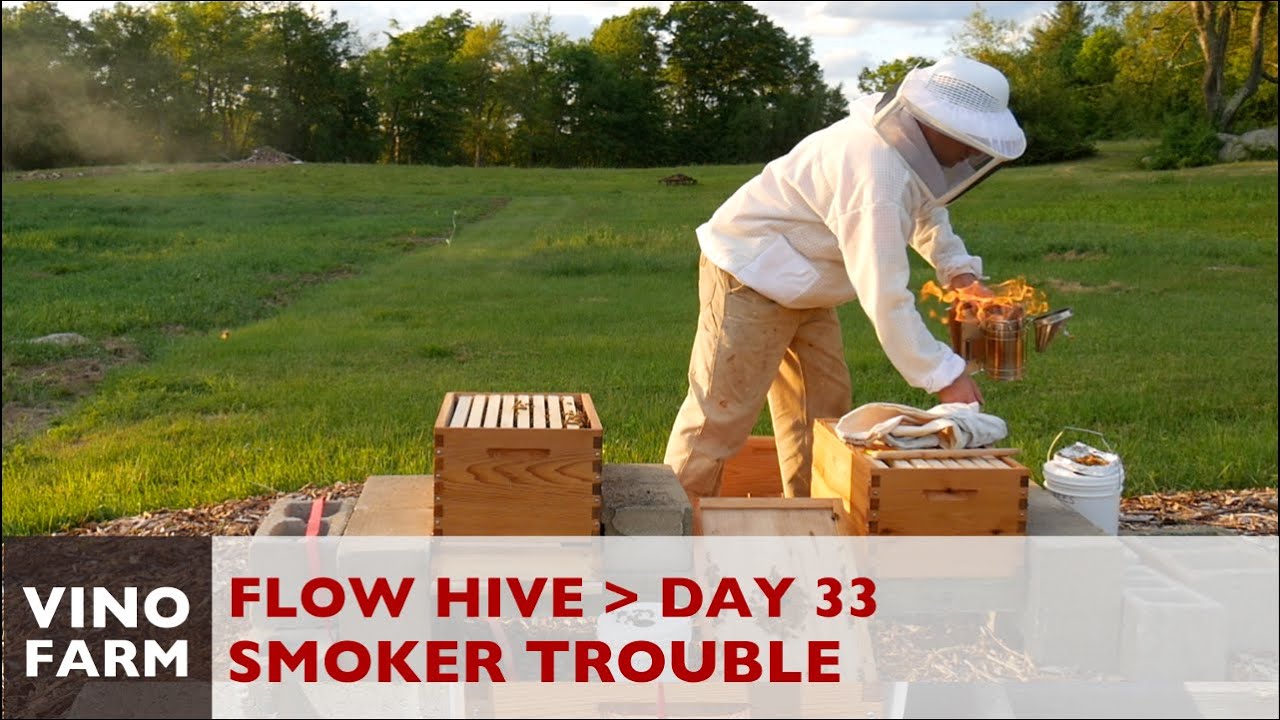 Flow Hive - Comb Surgery - Day 33 - Novice Beekeeping