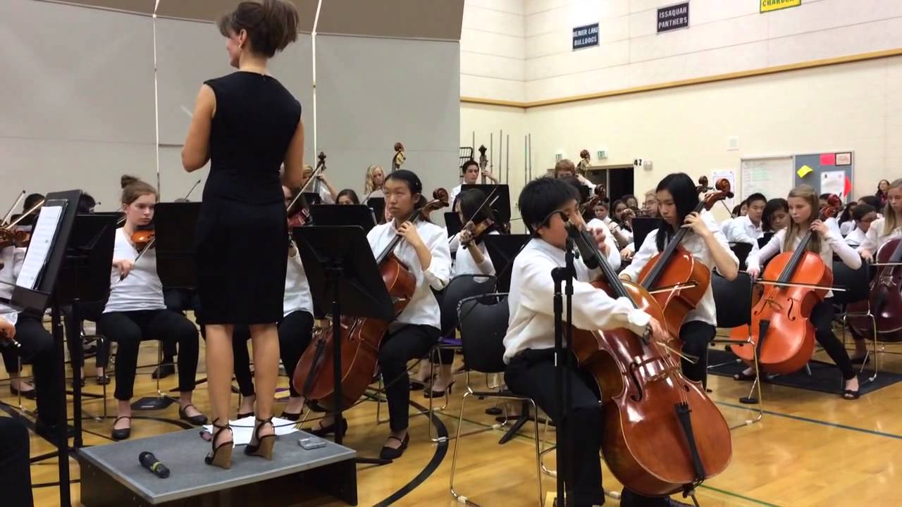 Allegro for cello and string Orchestra / Vivaldi
