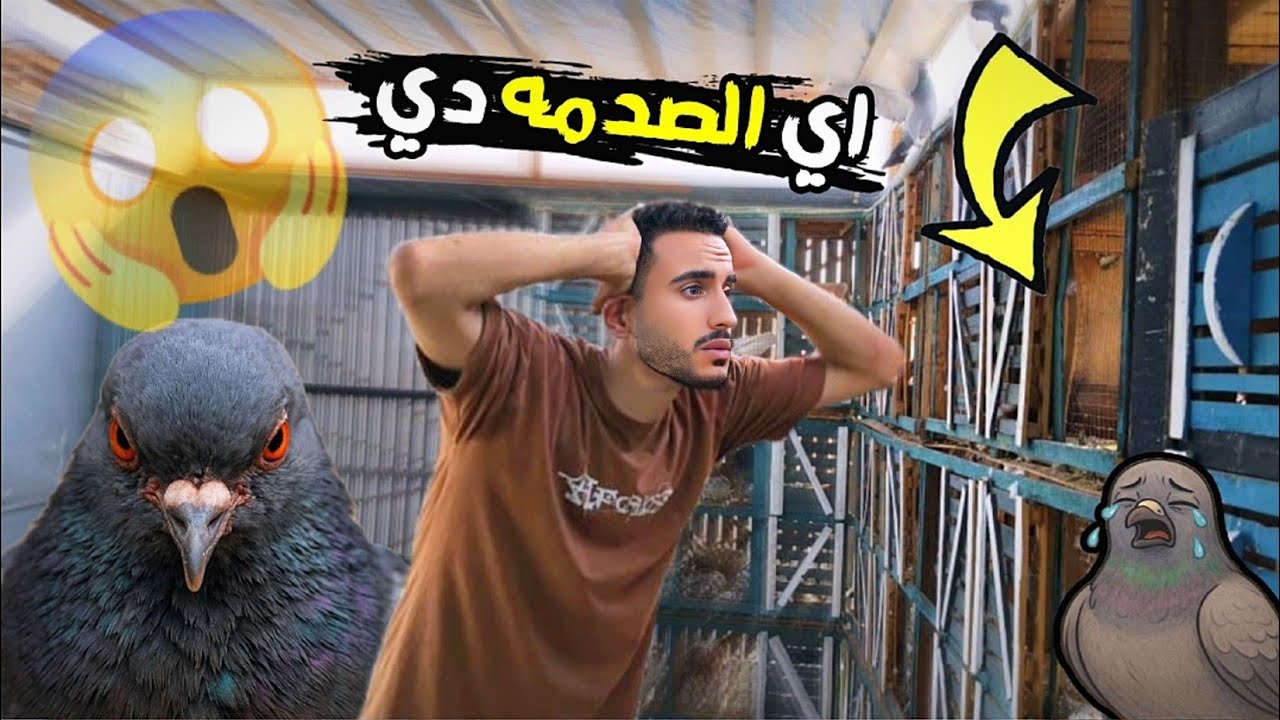 الحمام جنني وصدمني 😱وحصلت ضحايا جديده (يوم غريب)