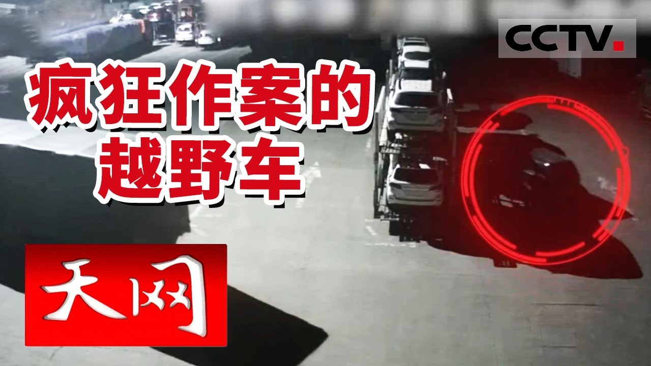 《天网》“午夜幽灵”神出鬼没 在高速公路服务区疯狂作案 | CCTV社会与法