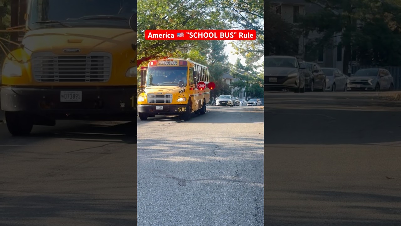 America SCHOOL BUS 🚌 Rule #usa #shorts #ytshorts #schoolbus #usavlogs #indianvlogger #hindi #foryou